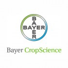 Bayer