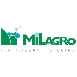 Milagro (Италия)