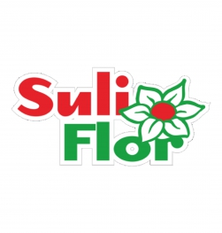 Suli Flor (Литва)